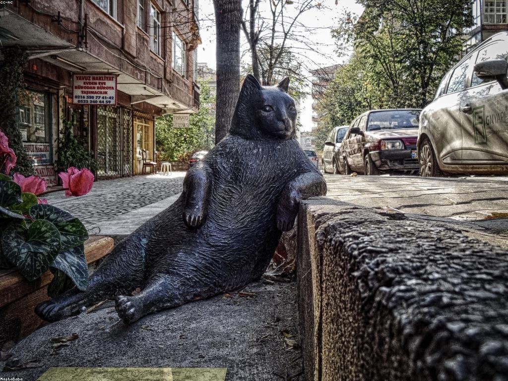 ការយល់ដឹងអំពីសំណុំបែបបទស្លត